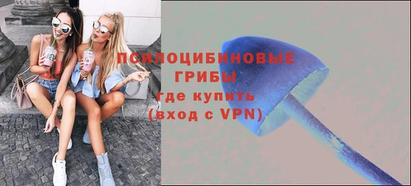 СК Белокуриха