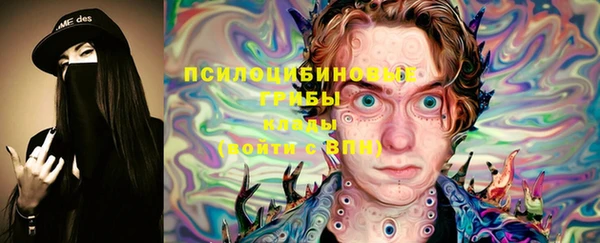 СК Строитель