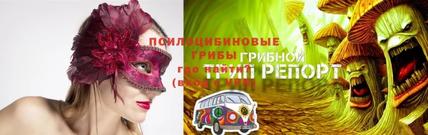 СК Белокуриха